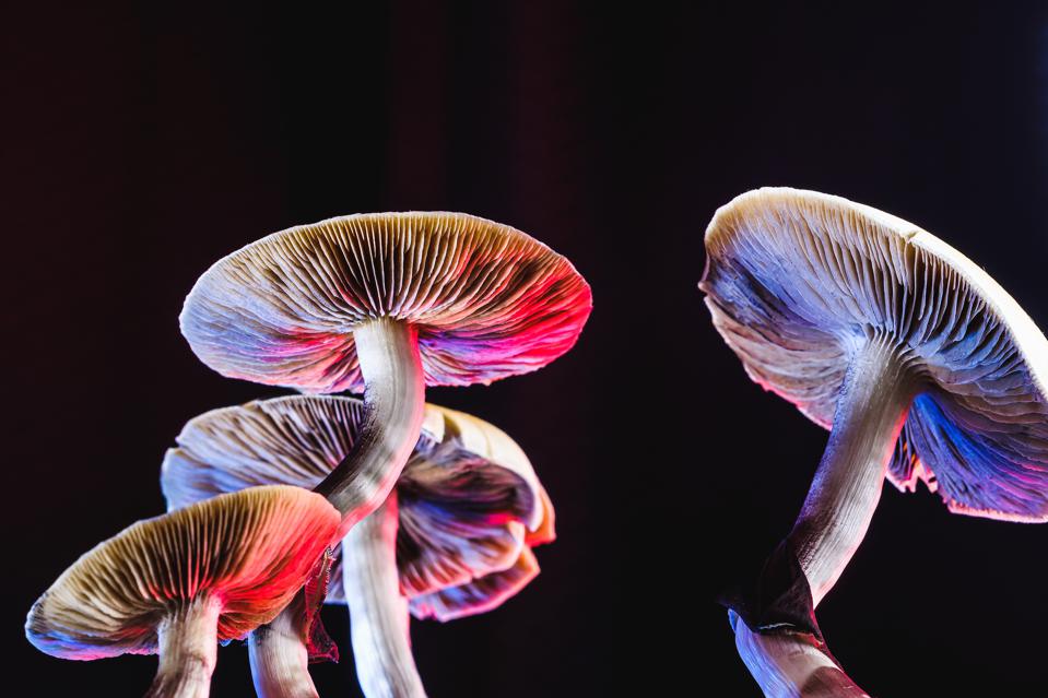 Approaches to magic mushrooms consumption